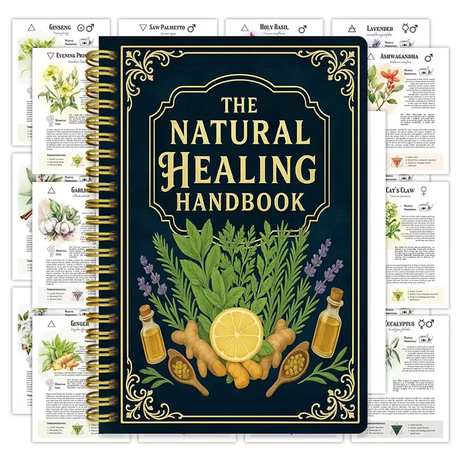 Health & Wellness Nurse Coach - Healing Handbook By Luna Filby English