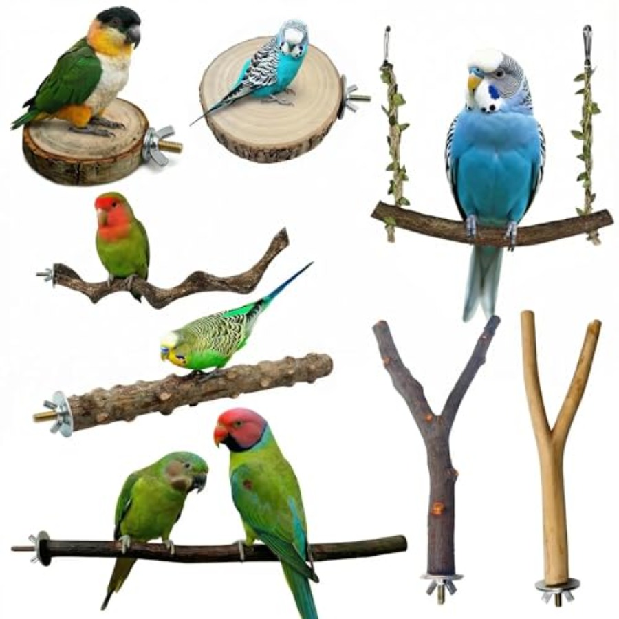 8PCS natural wood bird perches - Health & Wellness Nurse Coach recensie en prijs