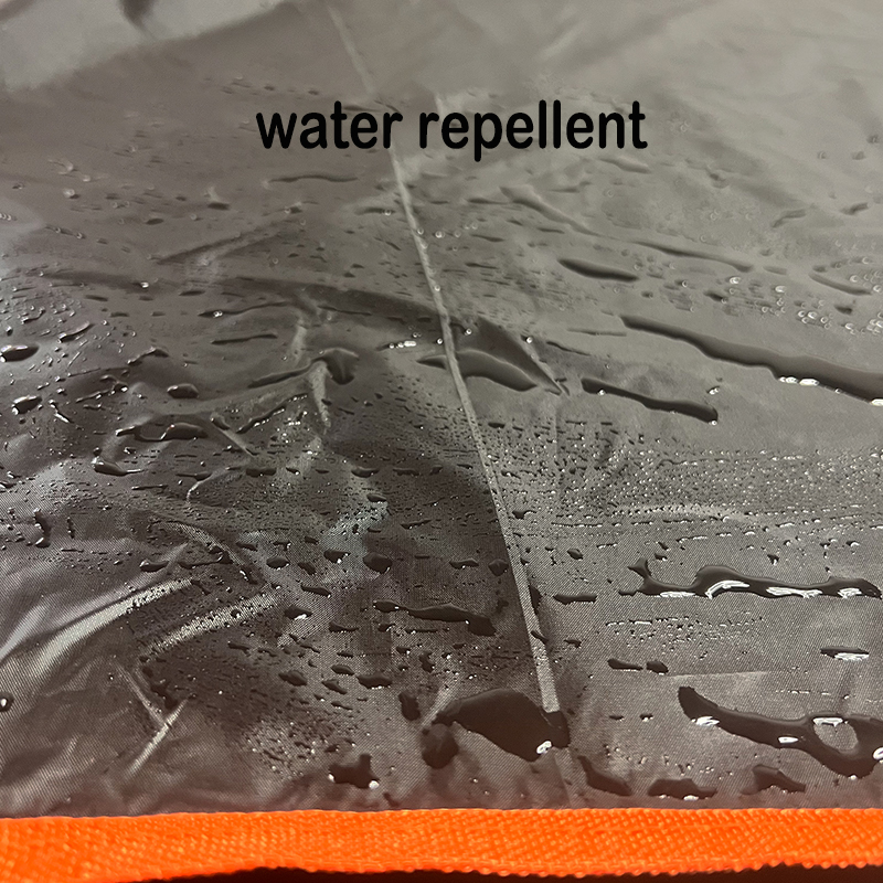 Waterproof Pet Car Mat with Co - Acupressure Mat Set recensie en prijs